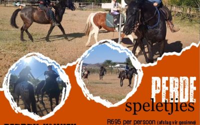 Perde Speletjies & Gymkhana Perdry Kliniek