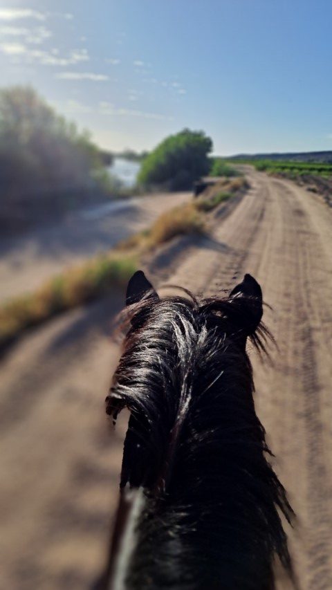 perdletiek trail ride